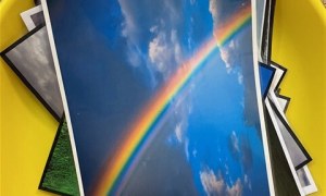 Misie: Wrzesień 2026 - Zdjęcie 170