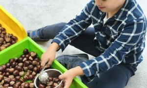 Tygryski: Wrzesień 2026 - Zdjęcie 42