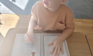 Tygryski: Wrzesień 2026 - Zdjęcie 49
