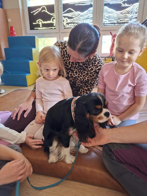 Dogoterapia: Październik - Zdjęcie 10