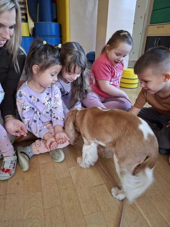 Dogoterapia: Październik - Zdjęcie 16