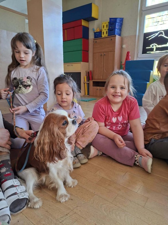 Dogoterapia: Październik - Zdjęcie 17