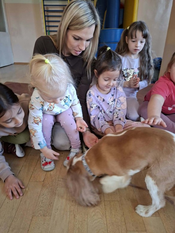 Dogoterapia: Październik - Zdjęcie 20