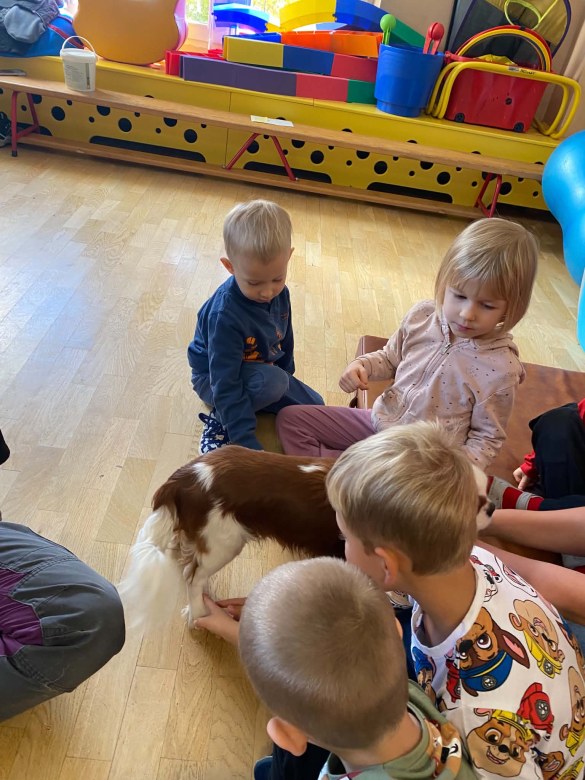 Dogoterapia: Październik - Zdjęcie 22