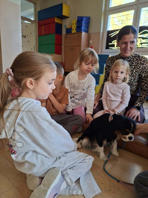 Dogoterapia: Październik - Zdjęcie 31