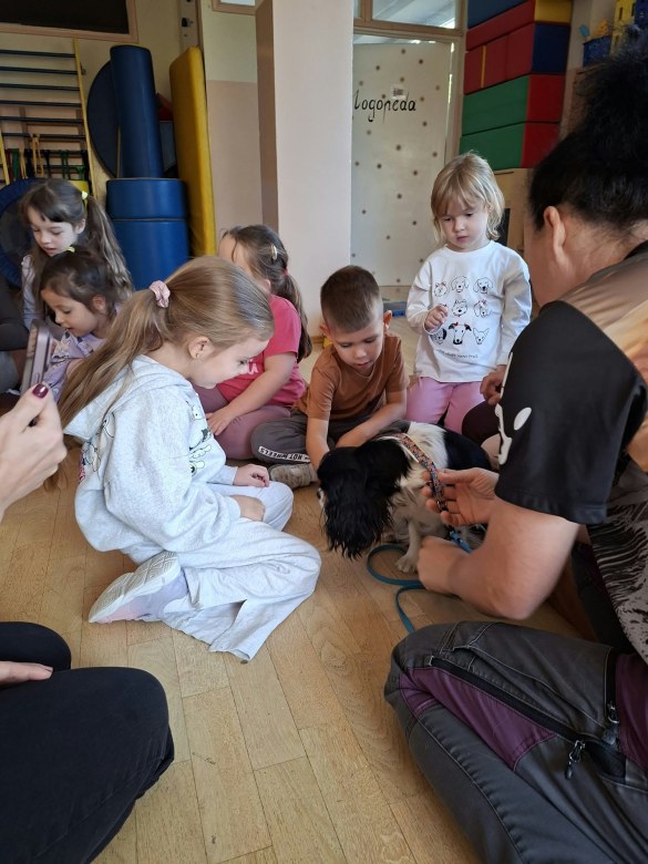 Dogoterapia: Październik - Zdjęcie 24