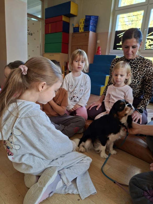 Dogoterapia: Październik - Zdjęcie 35