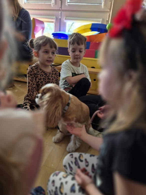 Dogoterapia: Październik - Zdjęcie 4