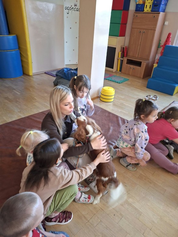Dogoterapia: Październik - Zdjęcie 38