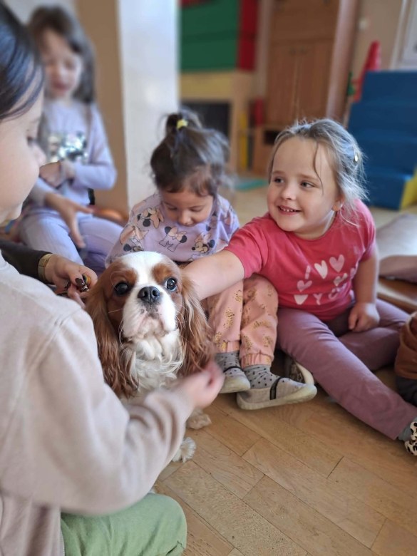 Dogoterapia: Październik - Zdjęcie 43