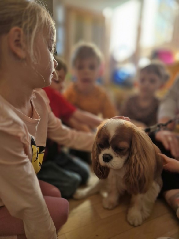 Dogoterapia: Październik - Zdjęcie 86
