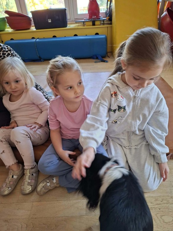 Dogoterapia: Październik - Zdjęcie 51