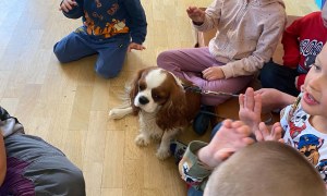 Dogoterapia: Październik - Zdjęcie 8