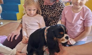 Dogoterapia: Październik - Zdjęcie 10