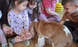 Dogoterapia: Październik - Zdjęcie 16