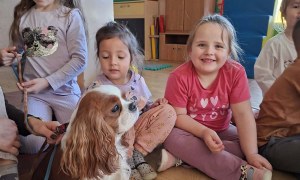 Dogoterapia: Październik - Zdjęcie 17