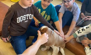 Dogoterapia: Październik - Zdjęcie 18