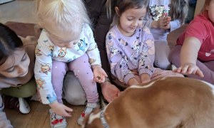Dogoterapia: Październik - Zdjęcie 20