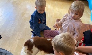 Dogoterapia: Październik - Zdjęcie 22