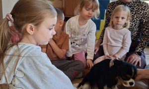 Dogoterapia: Październik - Zdjęcie 31