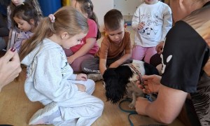 Dogoterapia: Październik - Zdjęcie 24