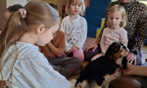Dogoterapia: Październik - Zdjęcie 35
