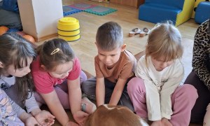 Dogoterapia: Październik - Zdjęcie 37