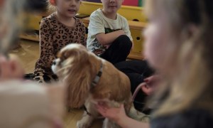 Dogoterapia: Październik - Zdjęcie 4