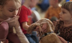 Dogoterapia: Październik - Zdjęcie 81