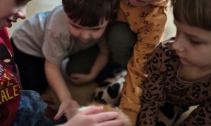 Dogoterapia: Październik - Zdjęcie 82