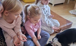 Dogoterapia: Październik - Zdjęcie 39
