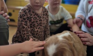 Dogoterapia: Październik - Zdjęcie 84