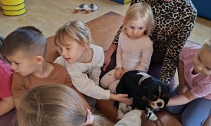 Dogoterapia: Październik - Zdjęcie 42