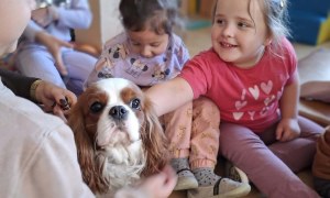 Dogoterapia: Październik - Zdjęcie 43