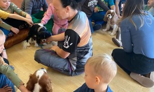 Dogoterapia: Październik - Zdjęcie 45