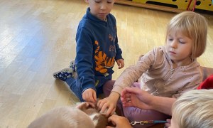Dogoterapia: Październik - Zdjęcie 58