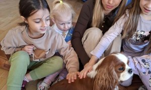 Dogoterapia: Październik - Zdjęcie 60