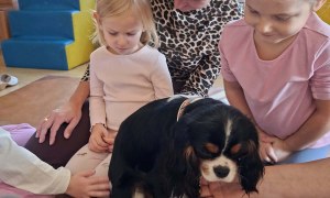 Dogoterapia: Październik - Zdjęcie 62