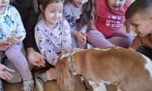 Dogoterapia: Październik - Zdjęcie 63