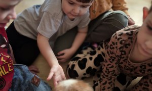 Dogoterapia: Październik - Zdjęcie 94