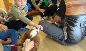 Dogoterapia: Październik - Zdjęcie 64