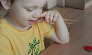 Jeżyki: Październik 2026 - Zdjęcie 14