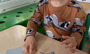 Żabki: Październik 2026 - Zdjęcie 23