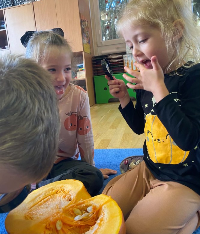 Dzień Dyni w grupie Żabki - Zdjęcie 6