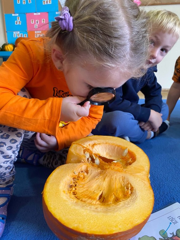 Dzień Dyni w grupie Żabki - Zdjęcie 58