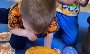 Dzień Dyni w grupie Żabki - Zdjęcie 16