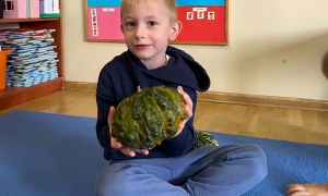 Dzień Dyni w grupie Żabki - Zdjęcie 23
