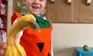 Dzień Dyni w grupie Żabki - Zdjęcie 7