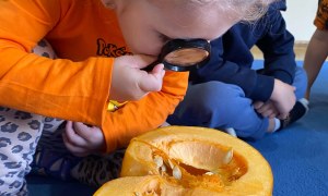 Dzień Dyni w grupie Żabki - Zdjęcie 58