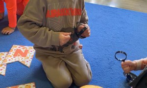 Dzień Dyni w grupie Żabki - Zdjęcie 64